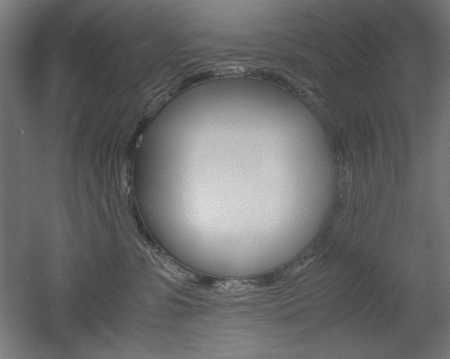 X0000052580331200507010920