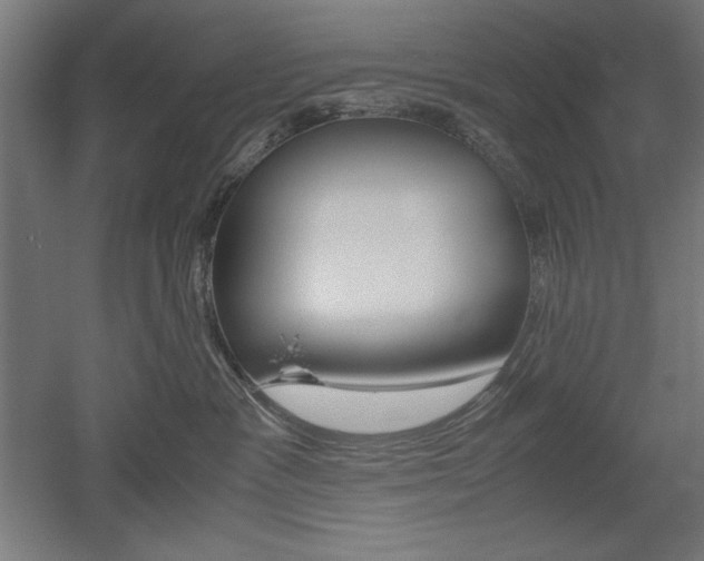 X0000052580333200507010920