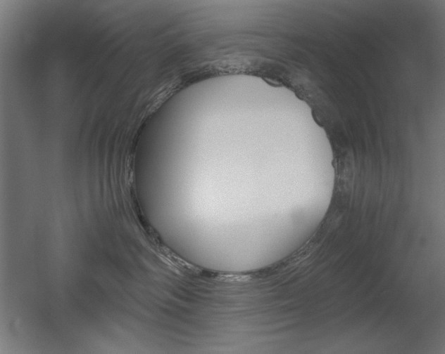 X0000052580334200507010920
