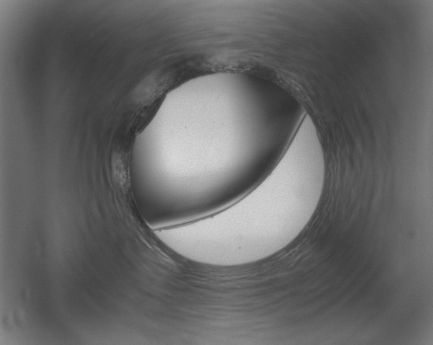 X0000052580335200507010920