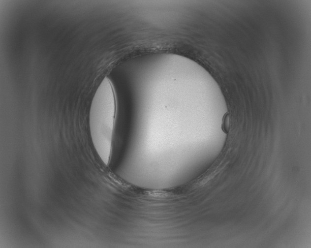 X0000052580336200507010920