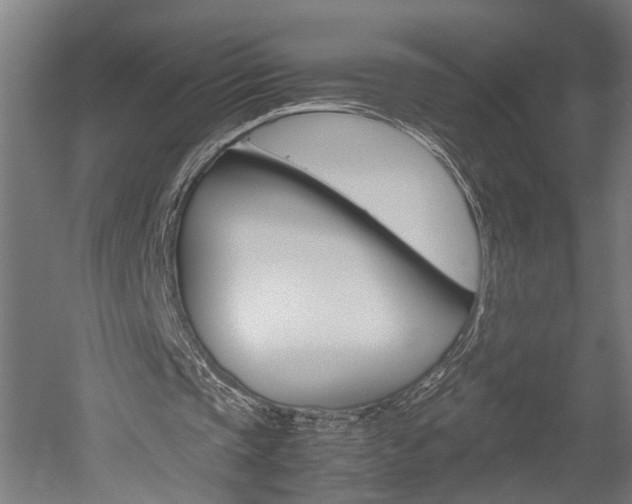 X0000052580337200507010919