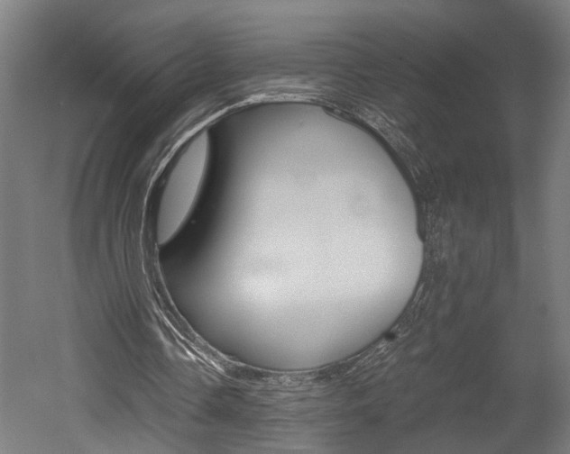 X0000052580338200507010919