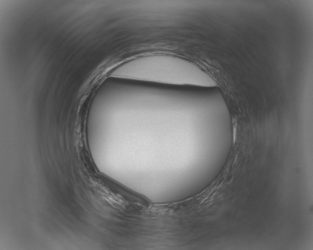 X0000052580339200507010919