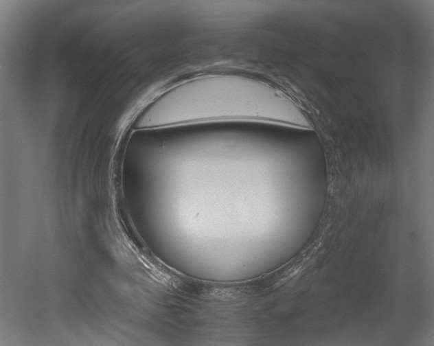 X0000052580341200507010919
