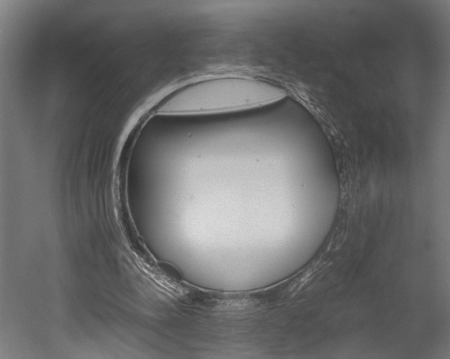 X0000052580342200507010919