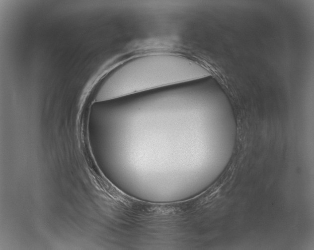 X0000052580343200507010919