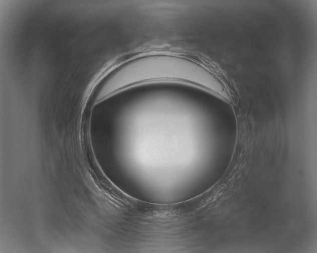 X0000052580344200507010919