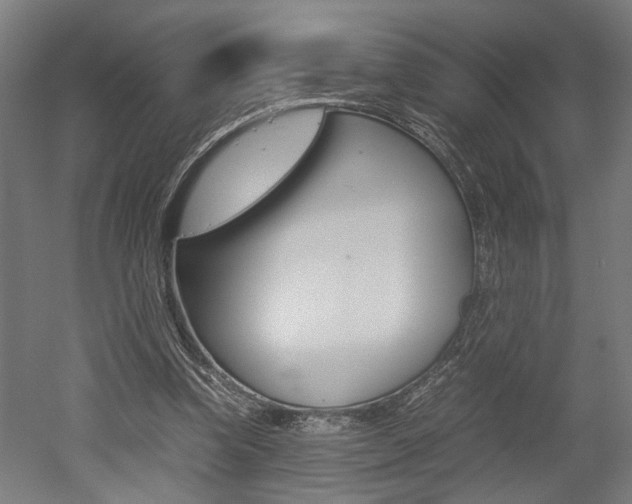 X0000052580346200507010919