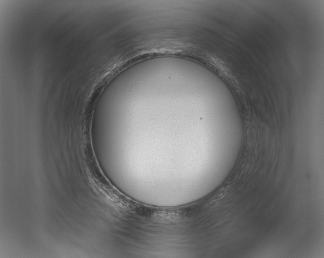 X0000052580354200507010919