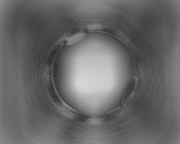 X0000052580356200507010919