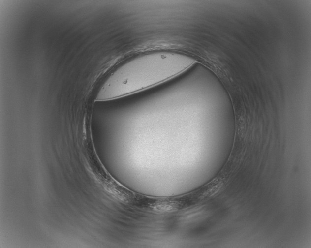 X0000052580358200507010919