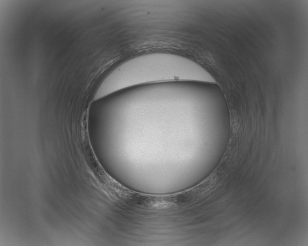 X0000052580360200507010919