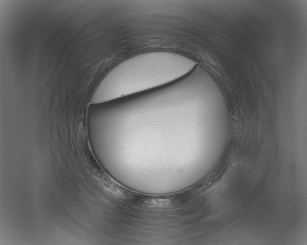 X0000052580361200507010919
