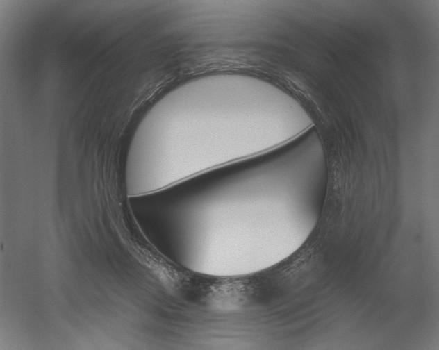 X0000052580362200507010919