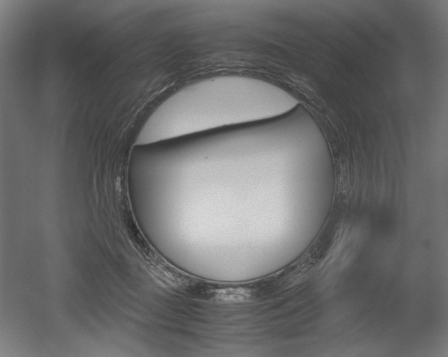 X0000052580363200507010919
