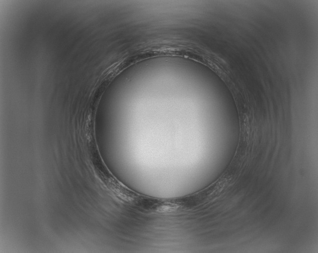 X0000052580364200507010919