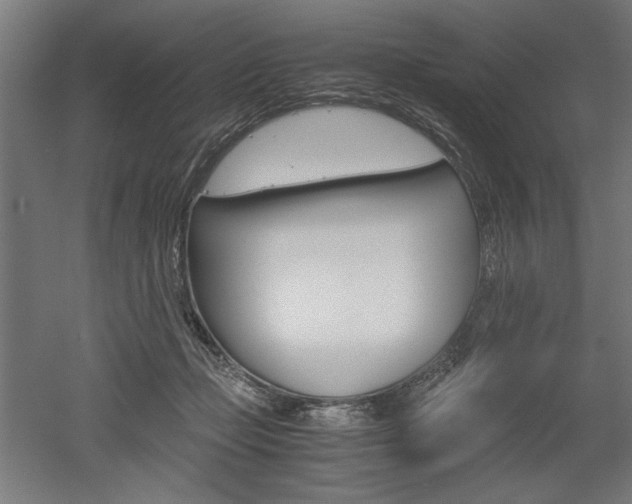 X0000052580365200507010919