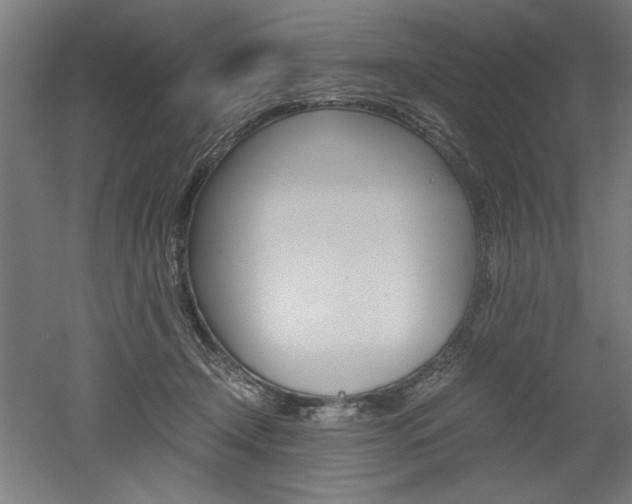 X0000052580366200507010919