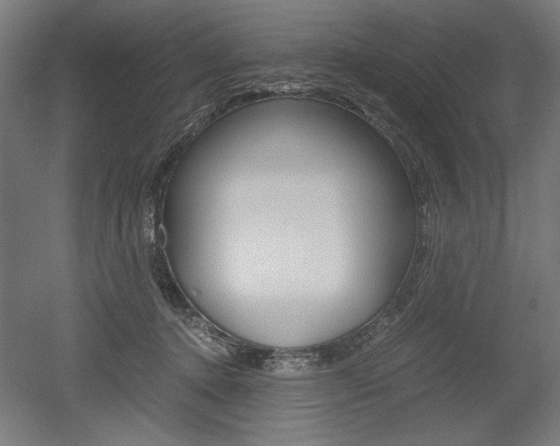 X0000052580368200507010919