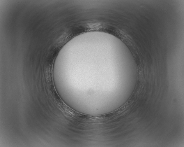 X0000052580369200507010919