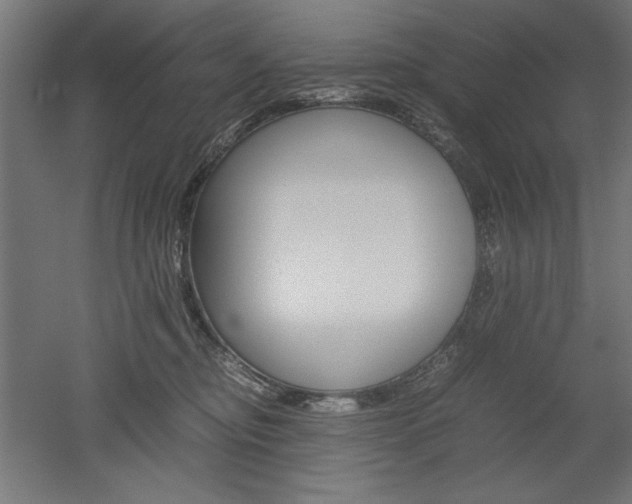 X0000052580374200507010920