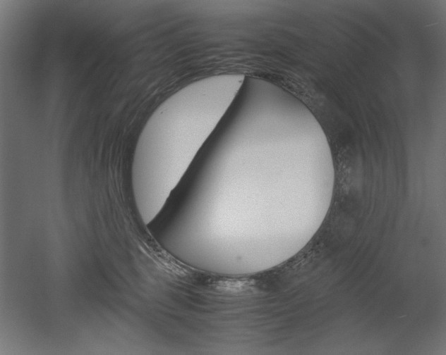 X0000052580375200507010920