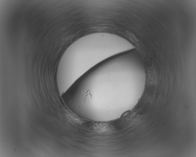 X0000052580377200507010920