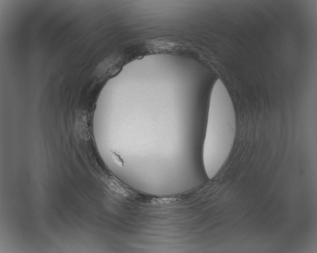 X0000052580378200507010920