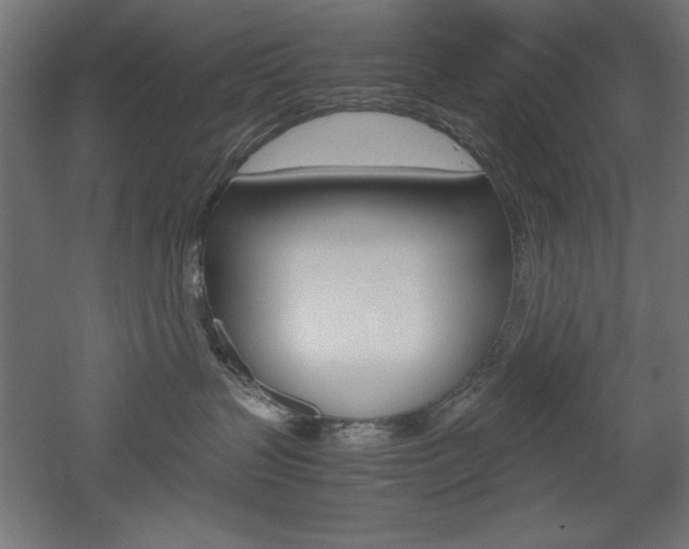 X0000052580383200507010920