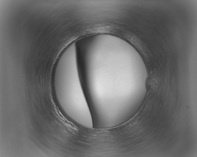 X0000052580386200507010919