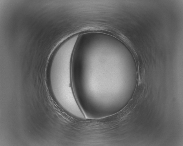 X0000052580387200507010919