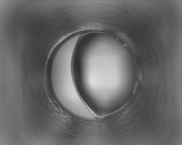 X0000052580388200507010919