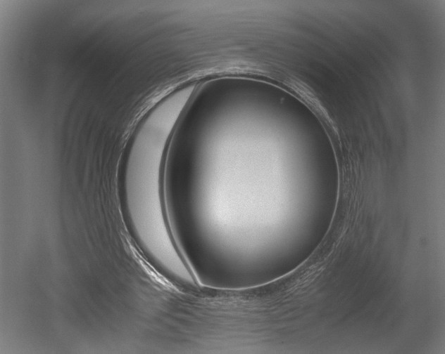 X0000052580389200507010919