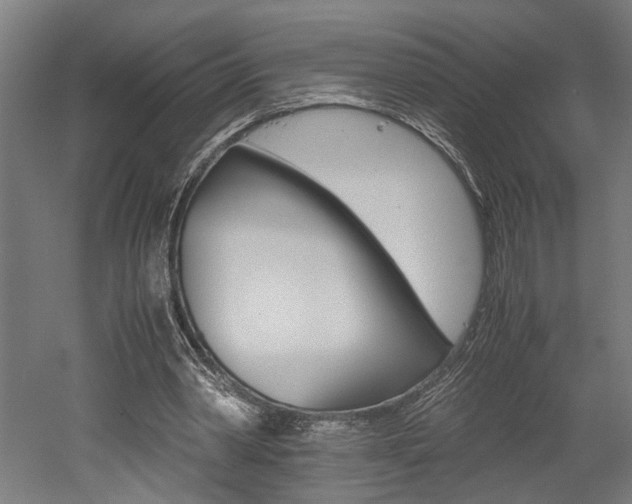 X0000052580390200507010919