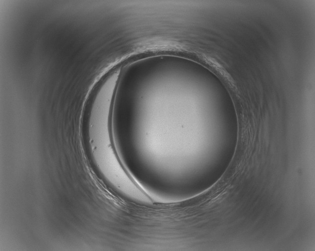 X0000052580391200507010919