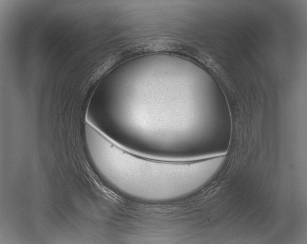 X0000052580393200507010919