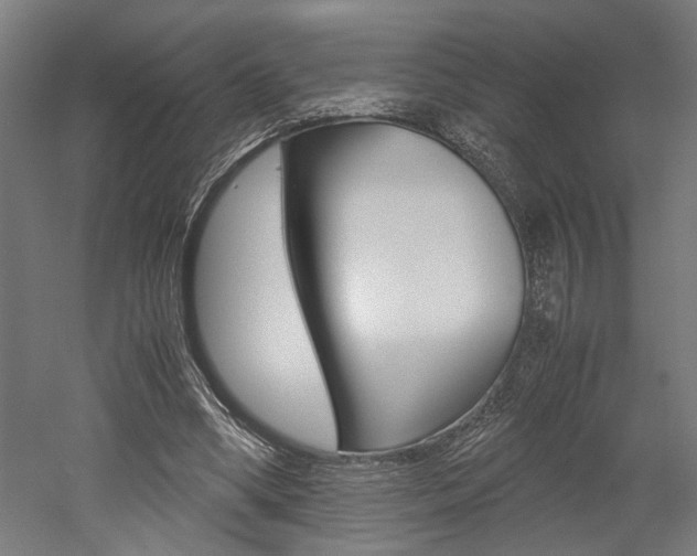 X0000052580394200507010919