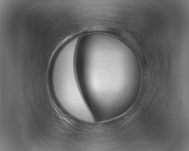 X0000052580395200507010919