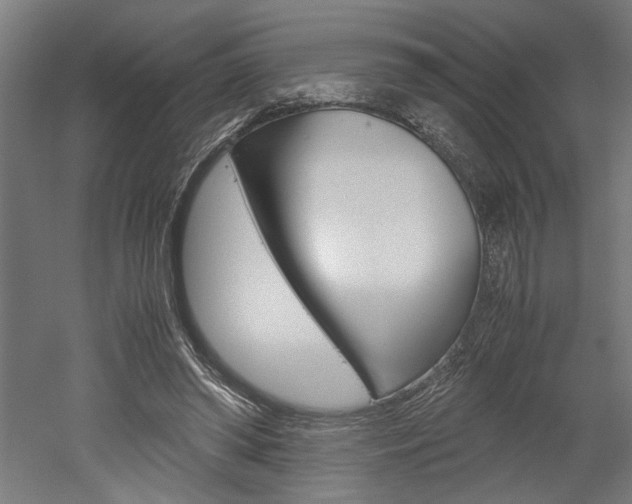 X0000052580398200507010919