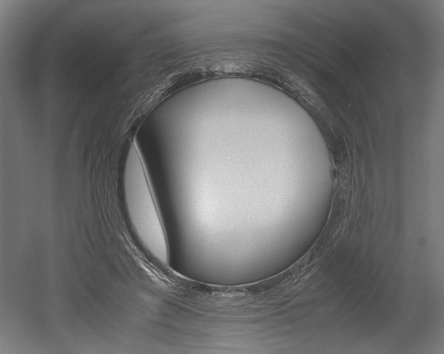 X0000052580401200507010919