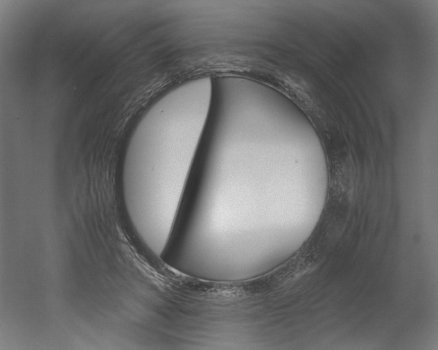 X0000052580402200507010919