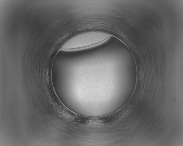 X0000052580403200507010919