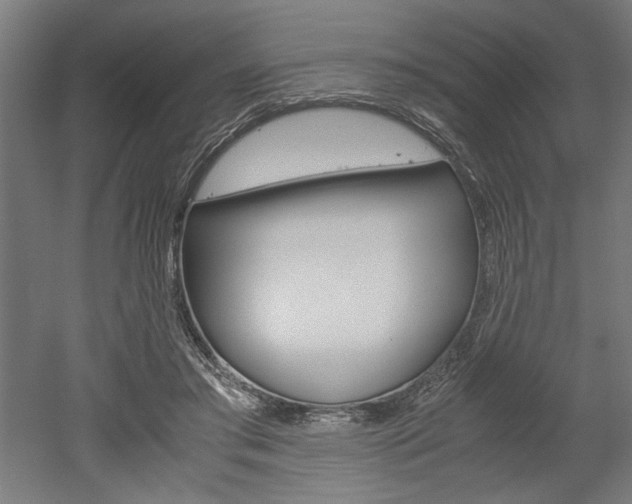 X0000052580405200507010919