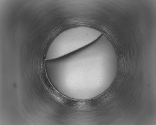 X0000052580406200507010919