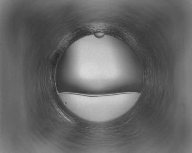 X0000052580408200507010919