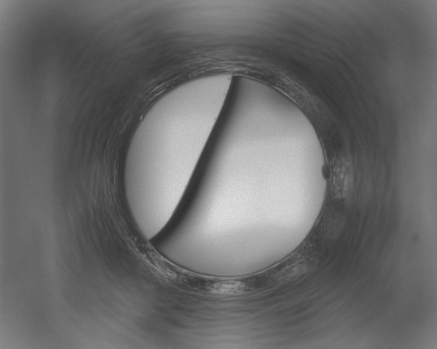 X0000052580410200507010919