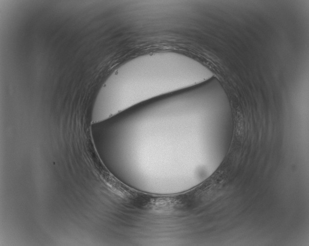 X0000052580414200507010918