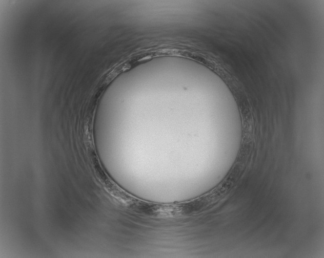 X0000052580415200507010918