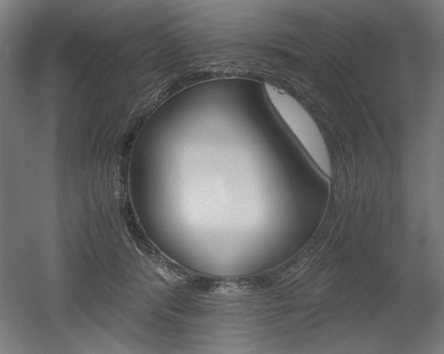 X0000052580416200507010918